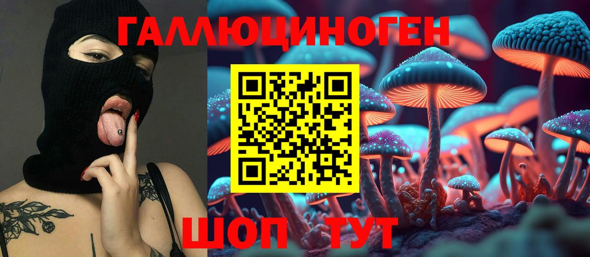 Черкесск  Псилоцибиновые грибы Cubensis  Вход с VPN 